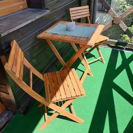 Apartman Zelezna Ruda Appartement *